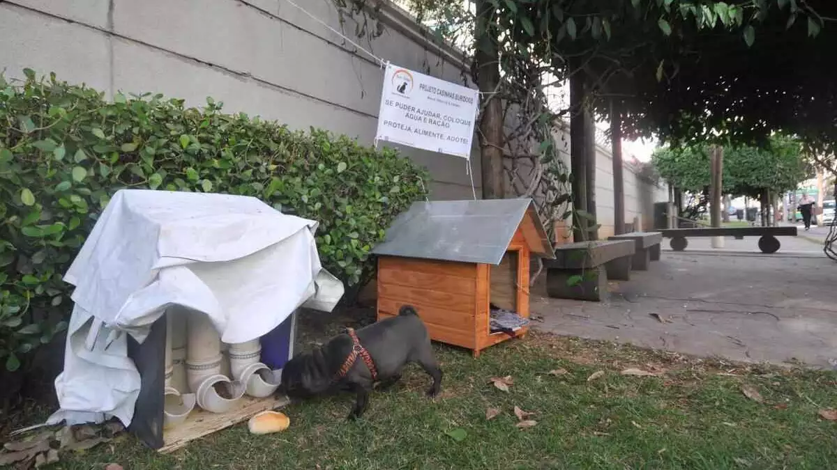 Casinha de cachorro gera embate com moradores de condomínio no Buritis