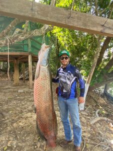 Bancário pesca peixe pirarucu gigante no rio Teles Pires em Carlinda