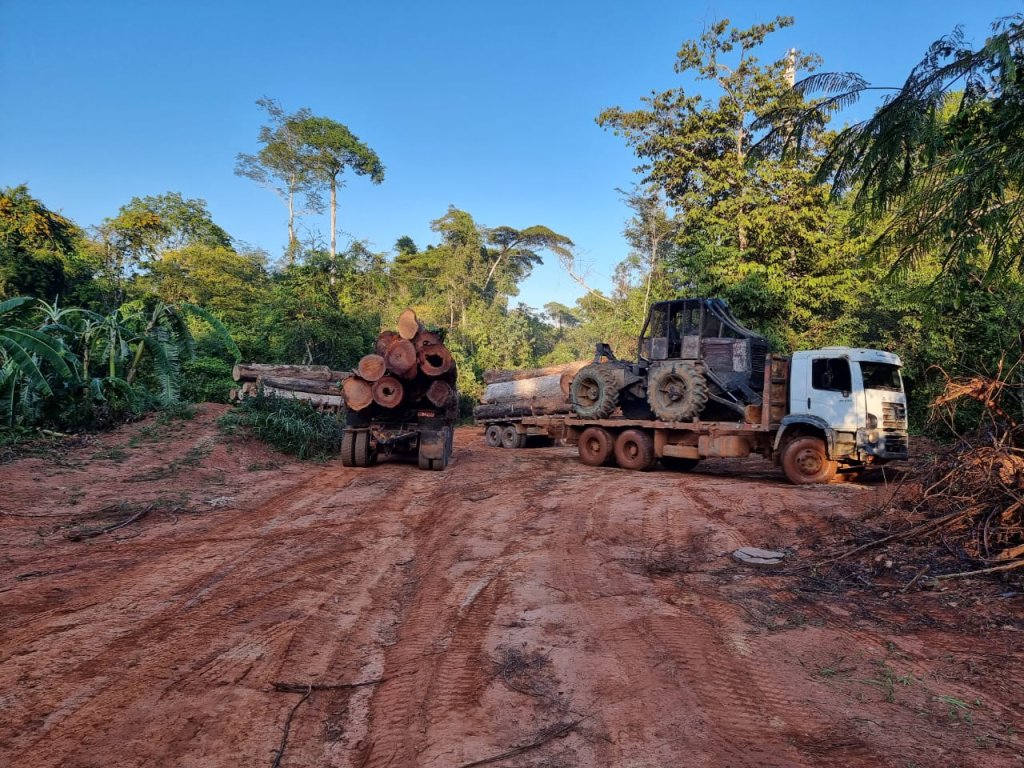 PF apreende 15 caminhões e 3 tratores em ação contra desmatamento em MT