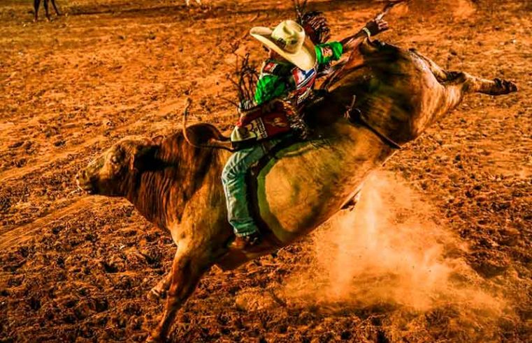 Juiz barra participação de animais no rodeio de Pedro Leopoldo (MG)