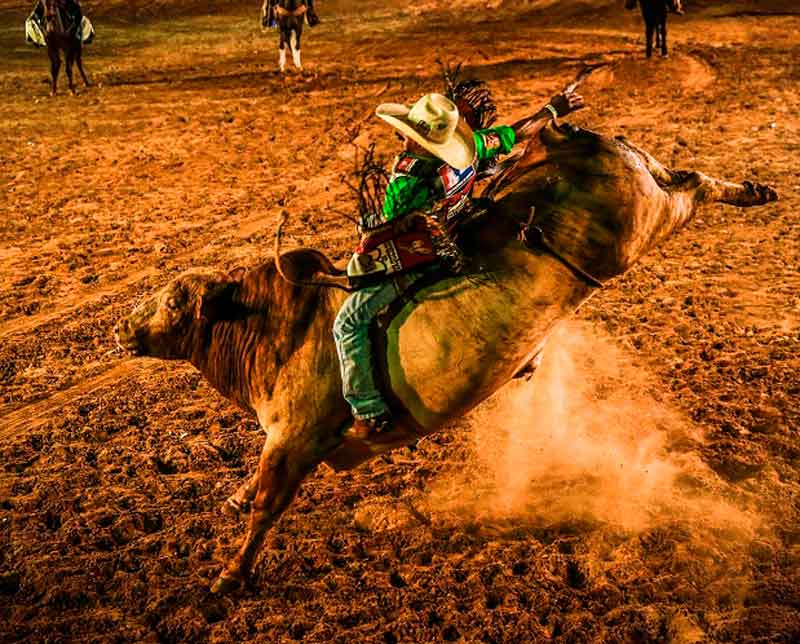 Justiça proíbe realização de rodeios em todo o estado de Minas Gerais