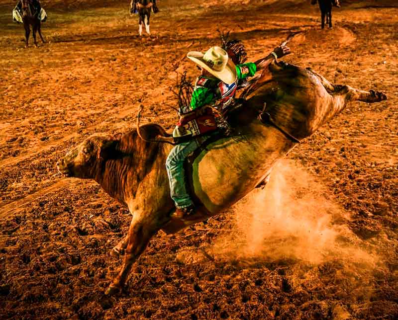 Juiz barra participação de animais no rodeio de Pedro Leopoldo (MG)