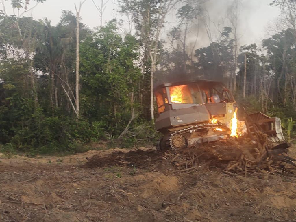 Operação contra desmatamento flagra atividade agrícola em área embargada em Marcelândia
