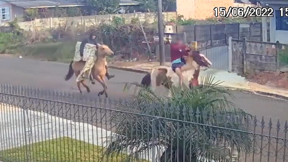 Suspeitos fogem a cavalo levando televisão roubada no Paraná