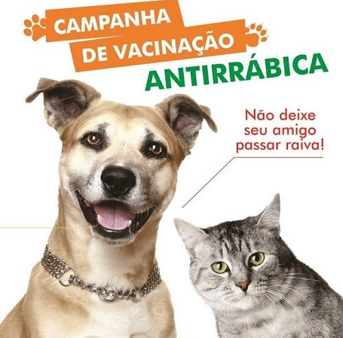 Secretaria de Saúde do DF confirma 1º caso de raiva humana e antecipa vacinação em animais