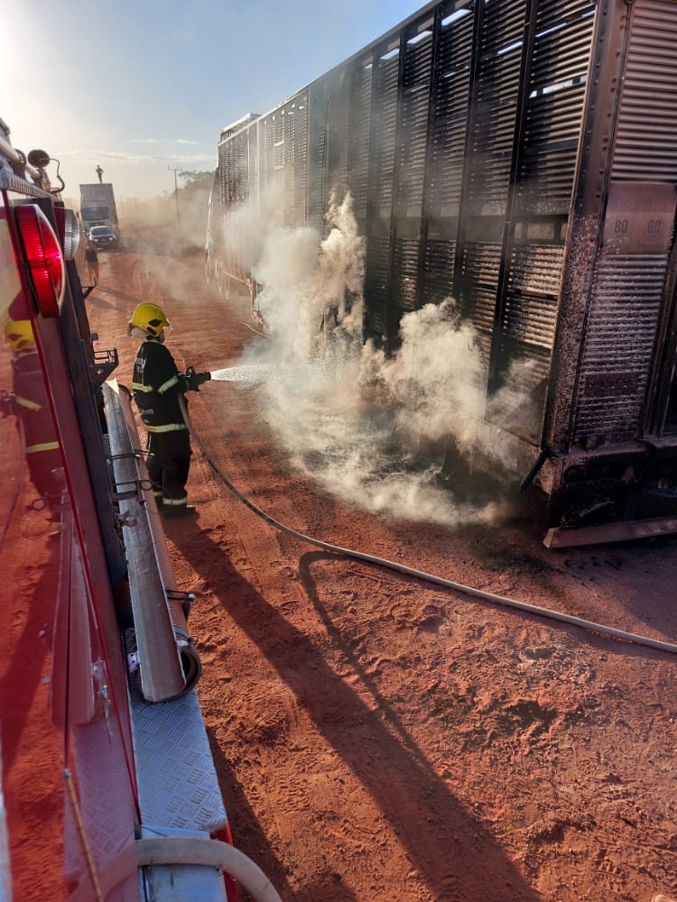 Carreta que transportava carga de bovinos pega fogo na estrada E-60 em Matupá
