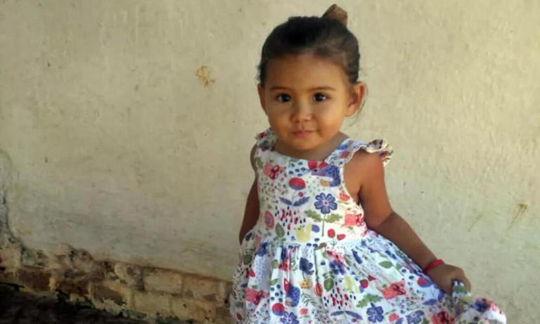 Criança de 1 ano e 8 meses desaparece em lavoura de café no Sul de Minas