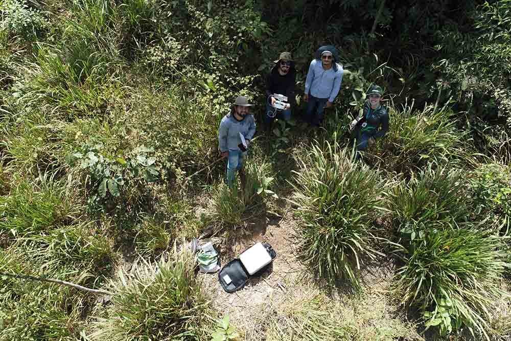 Qualidade da pastagem em alguns municípios de MT será analisada por especialistas