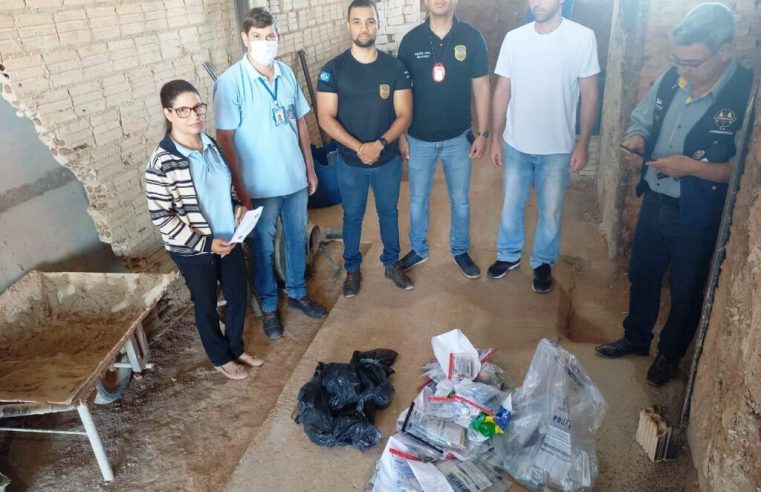 Policia Civil de Guarantã do Norte realizou a incineração de 6 quilos de drogas