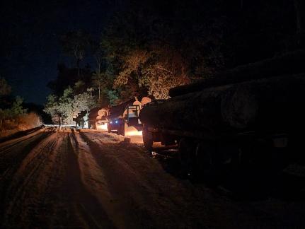 Operação apreende 9 caminhões carregados de madeira ilegal retirada de terra indígena