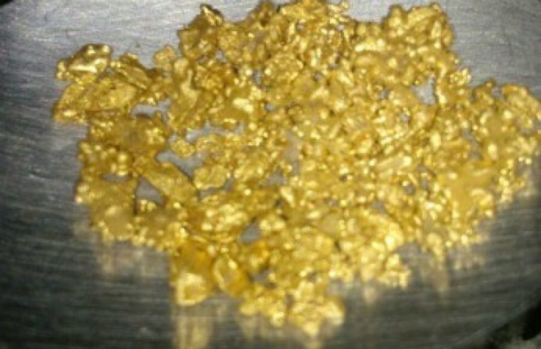 PF desarticula organizações criminosas voltadas à extração e comércio ilegal de ouro e MT e mais 6 estados