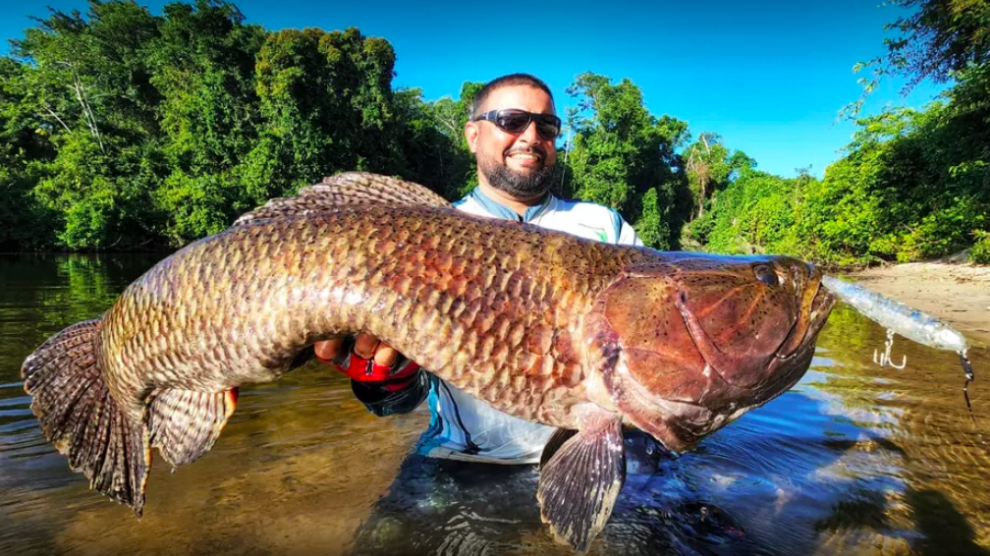 Pescador esportivo captura no Pará o maior ‘Trairão’ do Brasil e quer entrar para recorde mundial