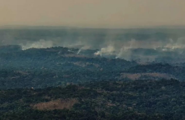 Após controlar incêndio, bombeiros monitoram Parque Cristalino II em MT