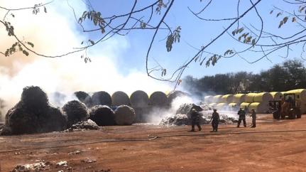 Incêndio destrói fardos de algodão em empresa de MT