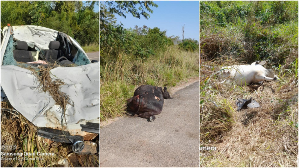 Casal fica ferido após carro baterem em duas vacas no meio de pista da MT 343