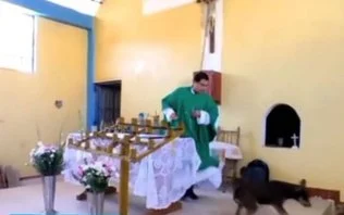 Padre chuta cachorro em missa e revolta internautas