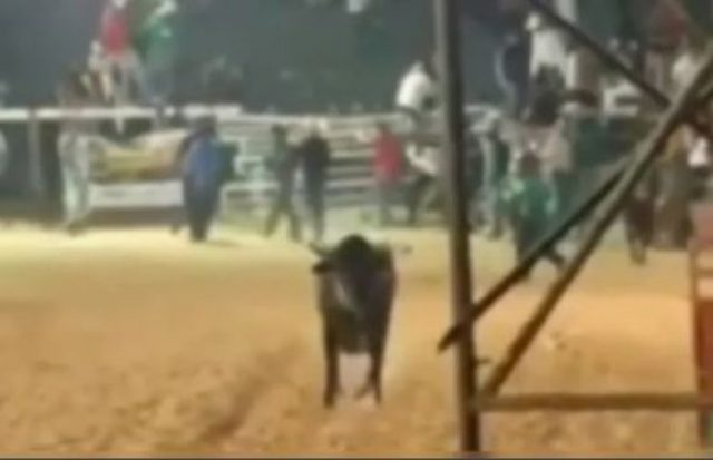 Confusão em rodeio faz PM usar spray de pimenta e prender 3
