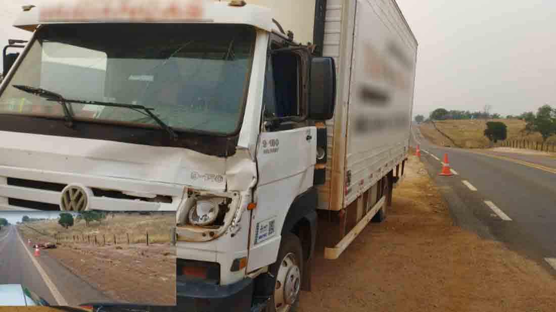 Caminhão atropela cavalo na MT-320 em Colíder