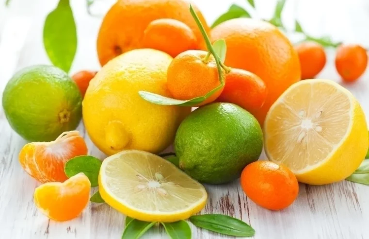 Bactéria transmitida por inseto obriga produtor de frutas cítricas a derrubar árvores