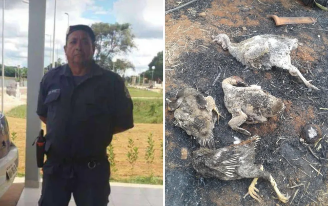 Fazendeiro morre queimado tentando salvar animais de incêndio em GO