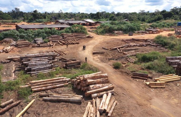 Mato Grosso intensifica ações contra crimes ambientais
