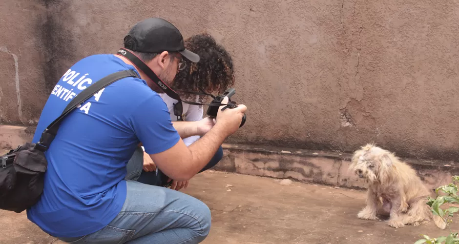 Mulher se muda para casa de namorado e abandona cachorrinha em MS