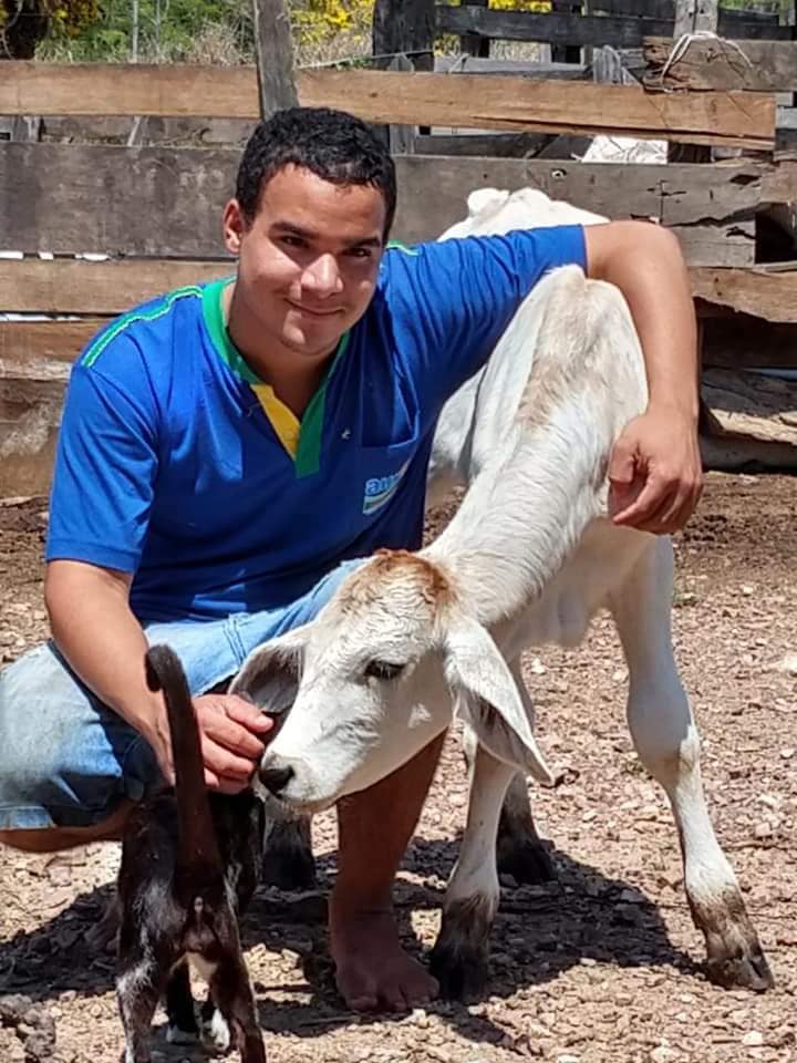 Jovem morre em colisão com viatura da PRF na BR-163