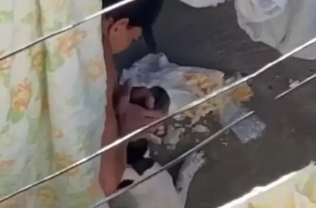 Homem é gravado batendo em cachorro e acaba indicado por maus tratos em Praia Grande