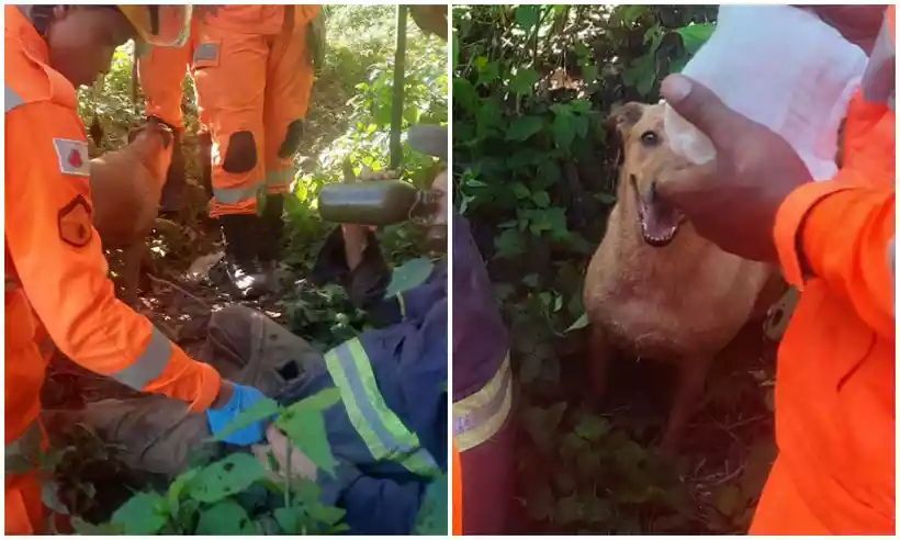 Bombeiros ouvem latido de cão e encontram idoso de 81 anos perdido