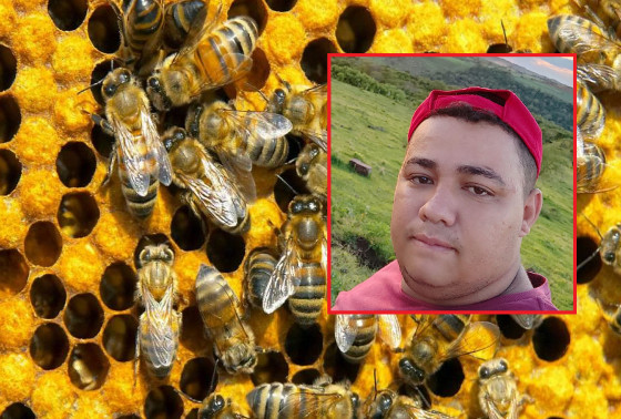 Outro trabalhador morre ao sofrer ataque de abelhas em fazenda de MT