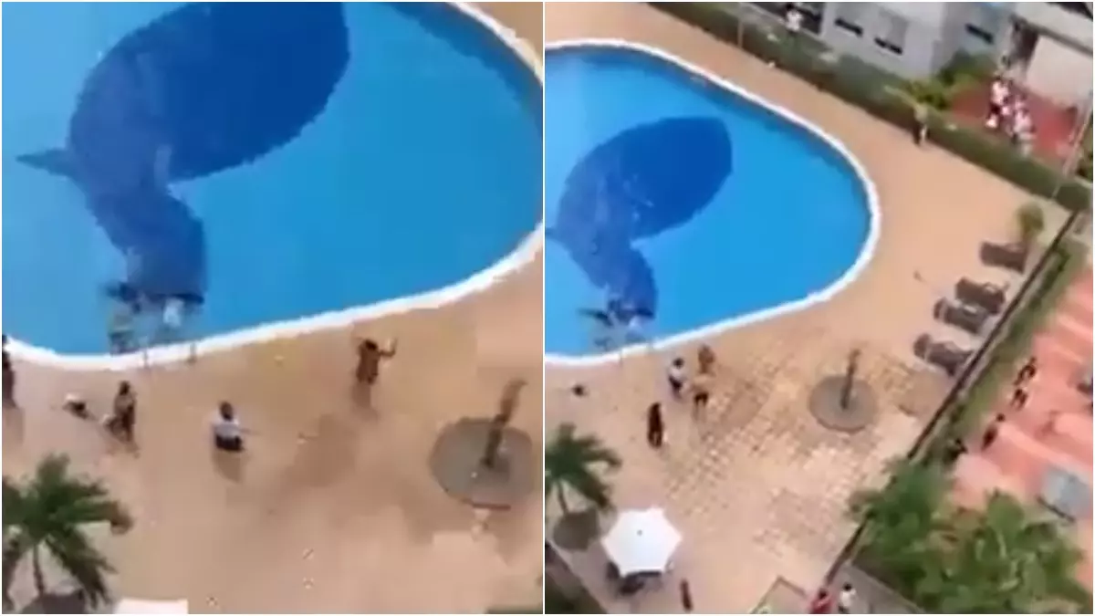 Quatro pessoas ficam inconscientes em piscina atingida por descarga elétrica