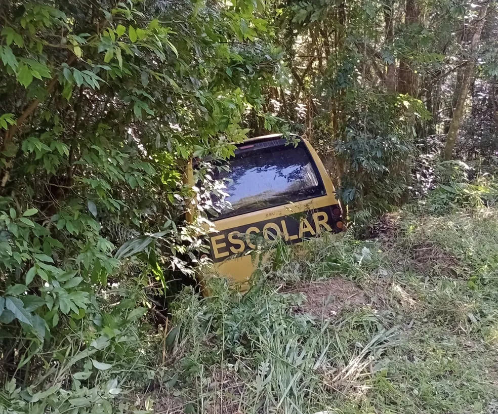 Ônibus escolar cai em ribanceira e ao menos quatro crianças ficam feridas em Tunas do Paraná