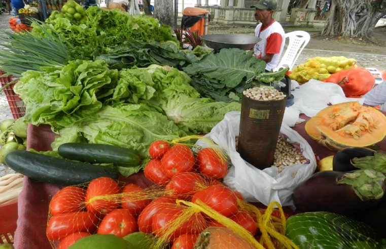 Agricultura familiar terá juros mais baixos para produção de alimentos