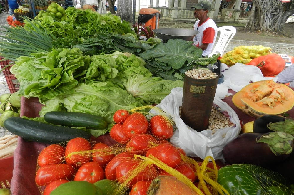 Agricultura familiar terá juros mais baixos para produção de alimentos