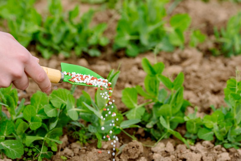 Sedec apresenta alternativas para produção de fertilizantes em MT nesta quarta-feira (21)