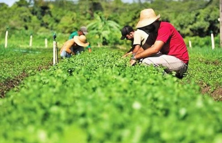 Sancionada lei que facilita credenciamento no Pronater