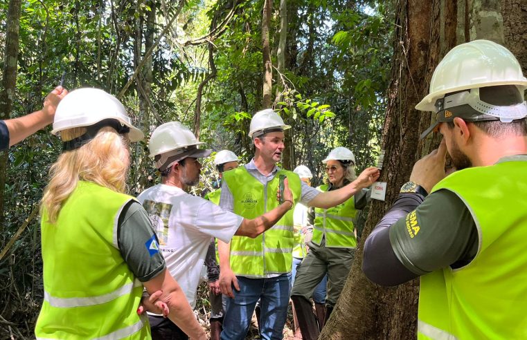 Rastreabilidade da madeira de Mato Grosso é destaque no evento Dia na Floresta