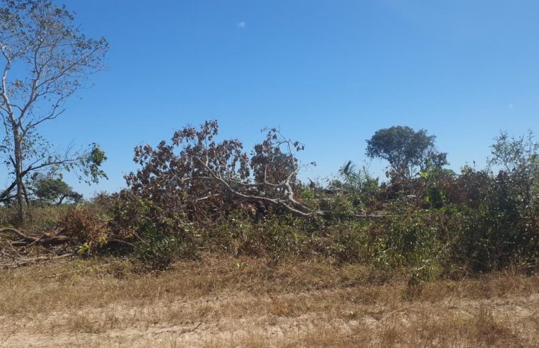 Sema embarga área de 970 hectares e multa proprietário em R$ 970 mil por desmatamento ilegal