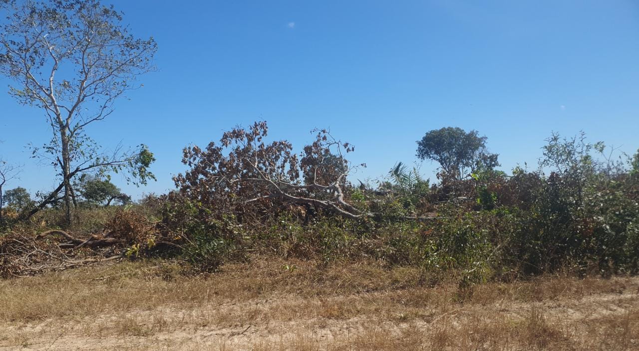 Sema embarga área de 970 hectares e multa proprietário em R$ 970 mil por desmatamento ilegal