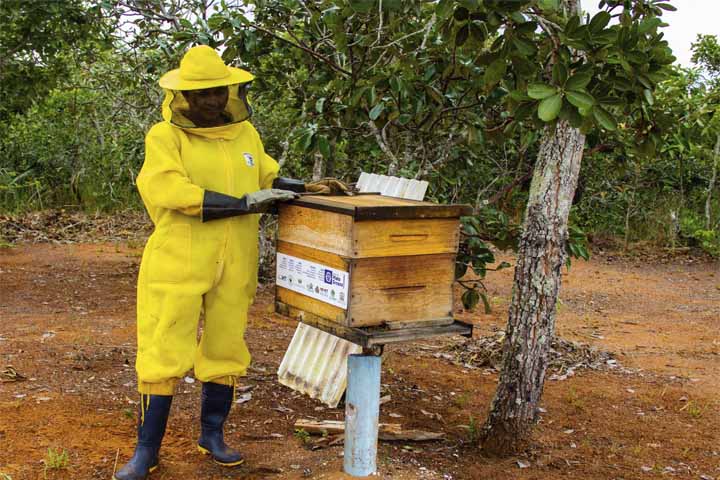 Fórum sobre cadeias produtivas da agricultura familiar será nesta quinta-feira (13)