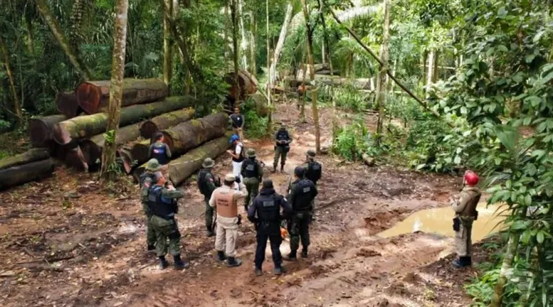 ‘Operação Curupira’ já apreendeu mais de 200 itens de garimpo no Pará