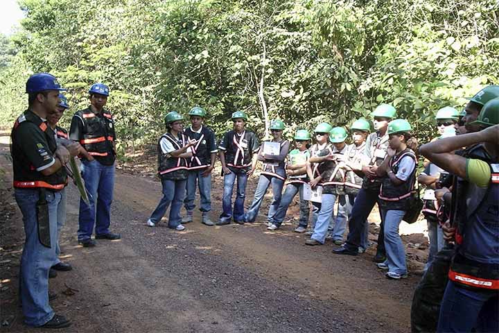 Universidade Estadual de Mato Grosso, UNEMAT está com matrículas abertas para o curso de Engenharia Florestal – Campus Alta Floresta