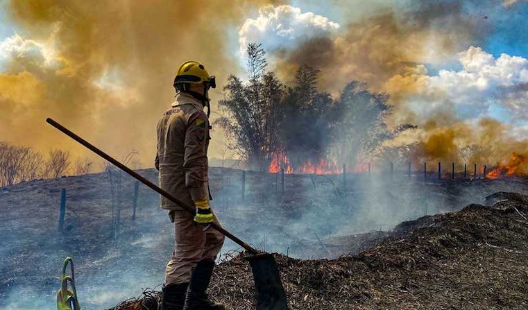 Nova plataforma vai ajudar o Estado no monitoramento de incêndios florestais