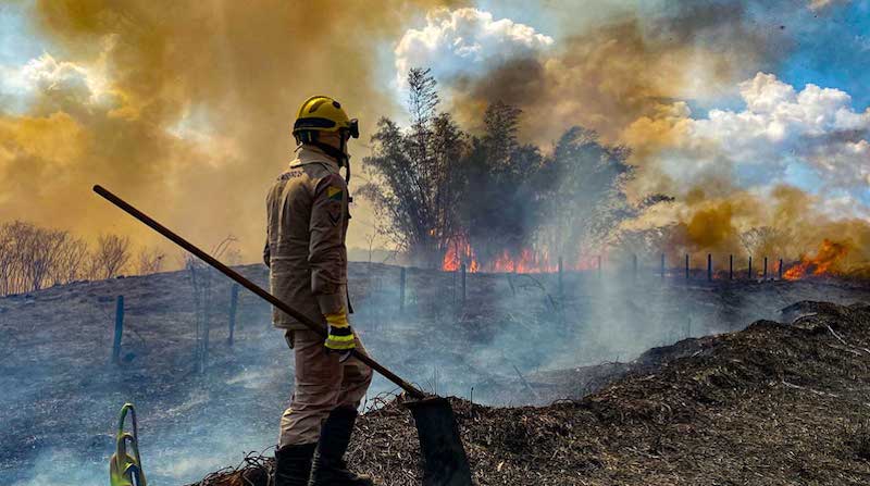 Nova plataforma vai ajudar o Estado no monitoramento de incêndios florestais