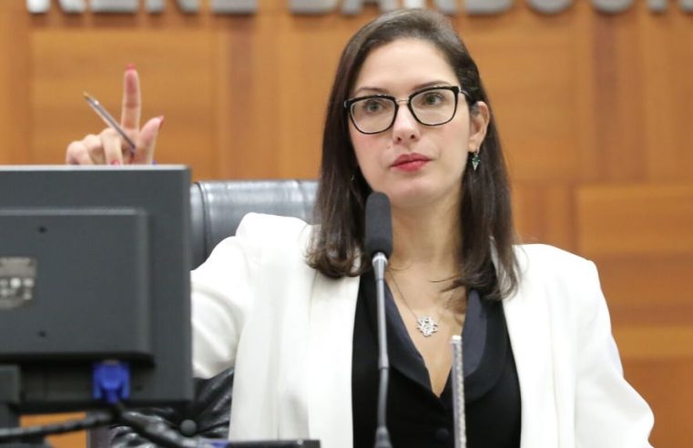 Janaina nega Stopa no MDB: “Partido não será barriga de aluguel”