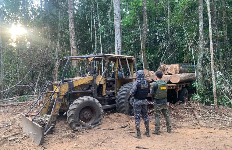 Operação Amazônia desmobiliza extração ilegal de madeira na Estação Ecológica Rio Ronuro