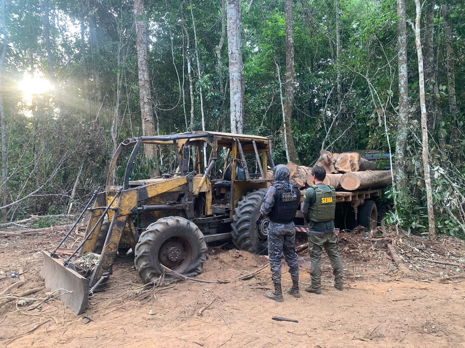 Operação Amazônia desmobiliza extração ilegal de madeira na Estação Ecológica Rio Ronuro