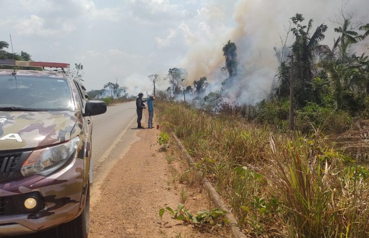 Nova Bandeirantes: homem é detido com galão de combustível ateando fogo em mata