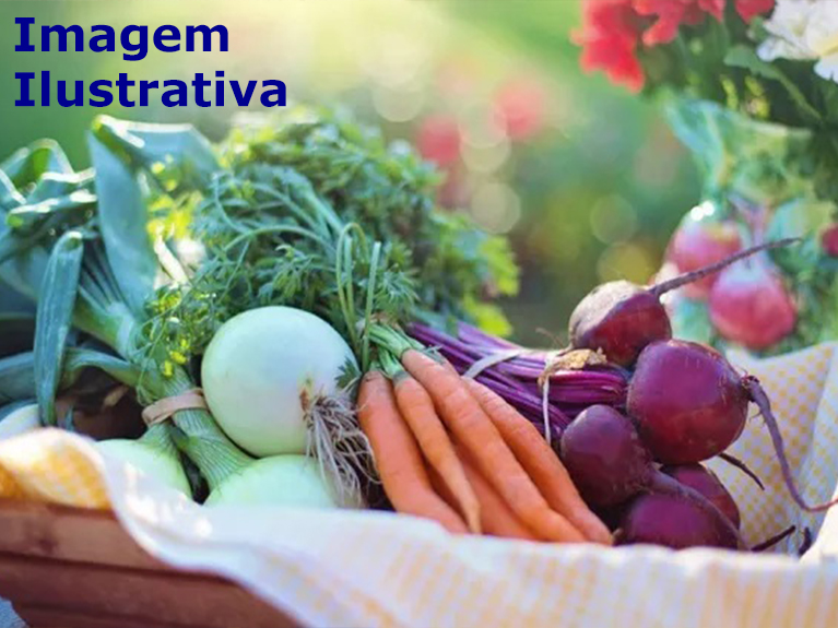 Prefeitura de Guarantã do Norte pública pregão para compra de sementes de hortaliças e insumos agrícolas.