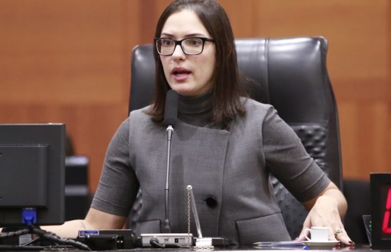 Presidente da Comissão de Ética quer instituir votação secreta